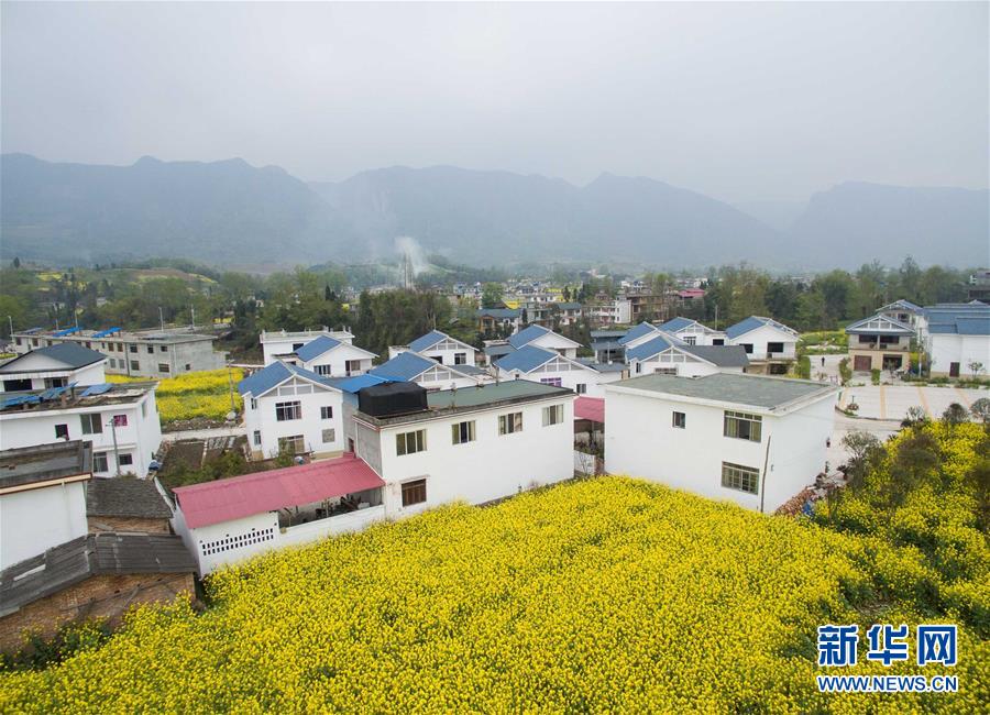 （社会）（4）春色满园——空中看芦山灾区新貌