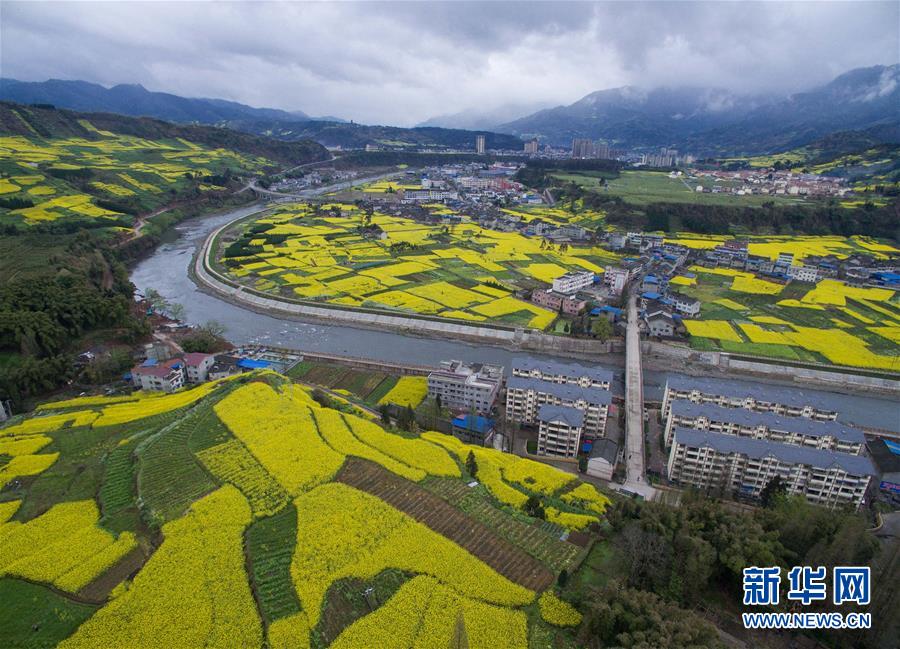 （社会）（6）春色满园——空中看芦山灾区新貌