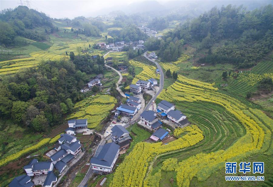 （社会）（5）春色满园——空中看芦山灾区新貌