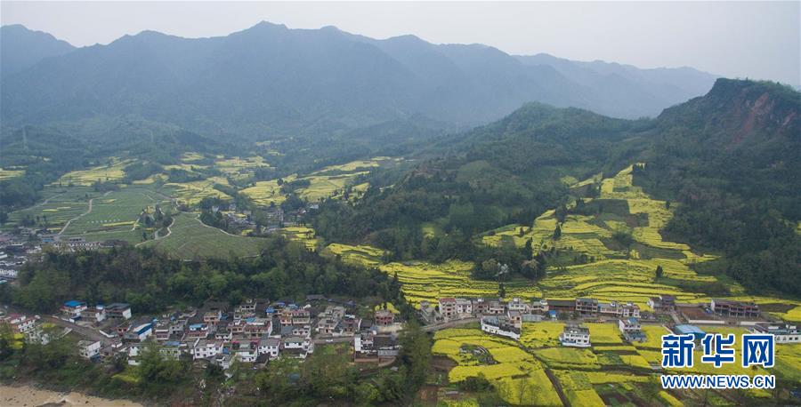 （社会）（8）春色满园——空中看芦山灾区新貌