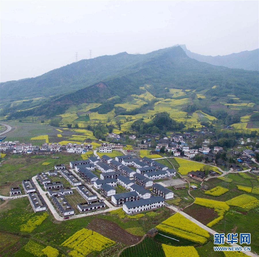 （社会）（3）春色满园——空中看芦山灾区新貌