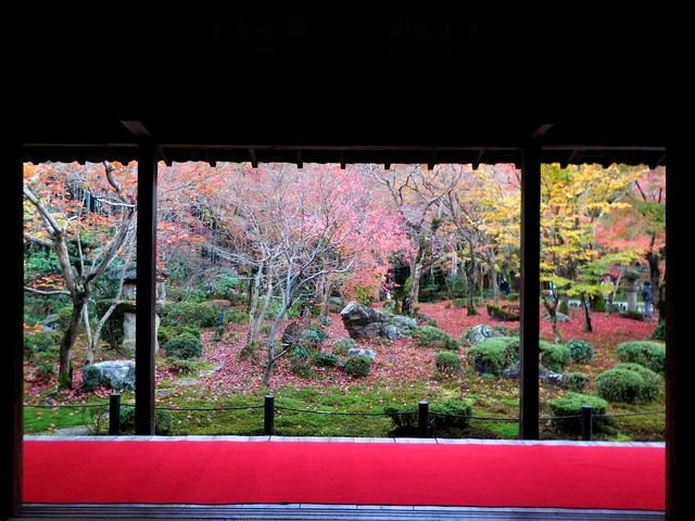 踏青旅游拍照手机推荐：华硕鹰眼ZenFone Zoom  