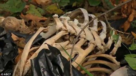 够胆你就来!揭秘美国人体农场(2)-千龙网·中