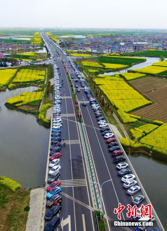 风景区游人如织 公路成“超级停车场”