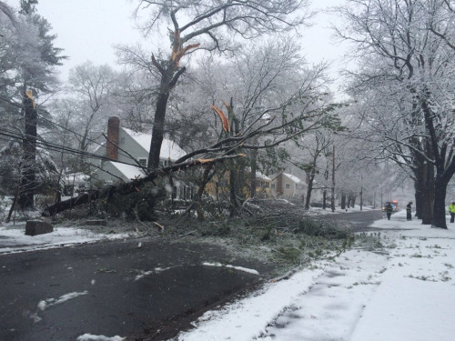强风降雪天气袭美超31万民众断电至少2人死亡