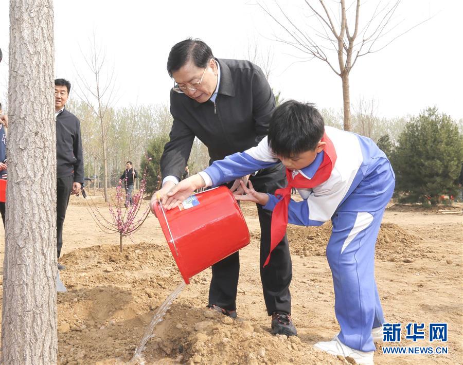 （XHDW）（2）党和国家领导人参加首都义务植树活动