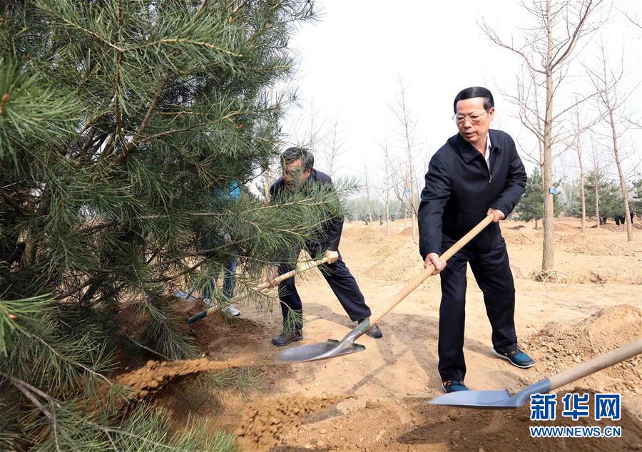 （XHDW）（6）党和国家领导人参加首都义务植树活动