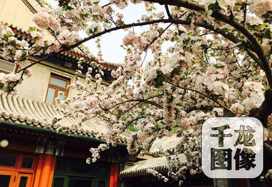 国内首档足球语言类真人秀节目《大话足球》将