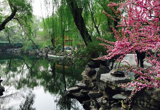 2宋庆龄故居内已是花红柳绿，