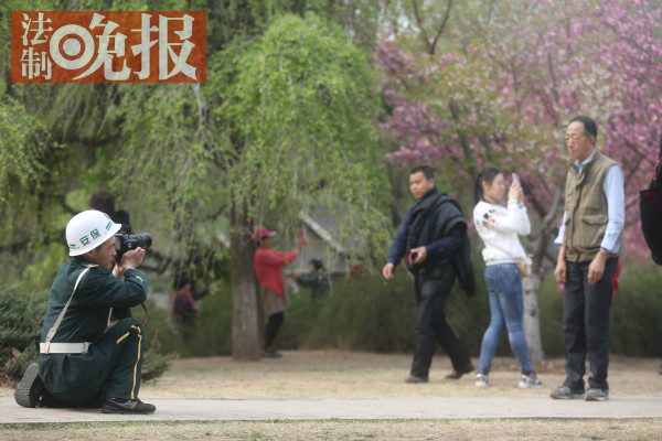 樱花节“最美保安”：跪地给老人拍照