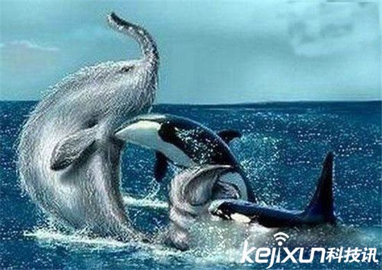 世界十大怪獸未解之謎 蒙古死亡之蟲