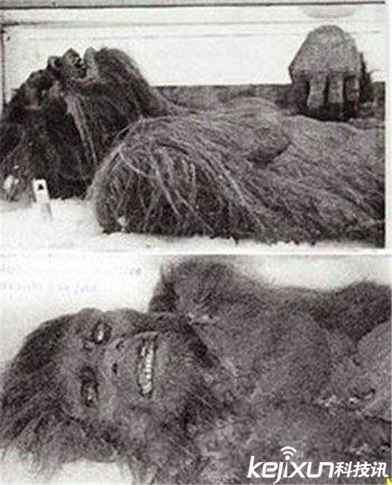 世界十大怪獸未解之謎  蒙古死亡之蟲