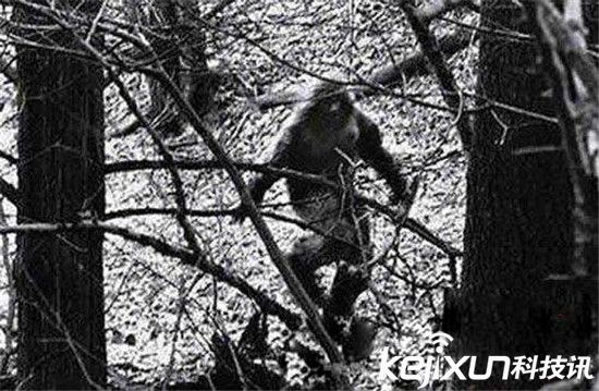 世界十大怪獸未解之謎  蒙古死亡之蟲