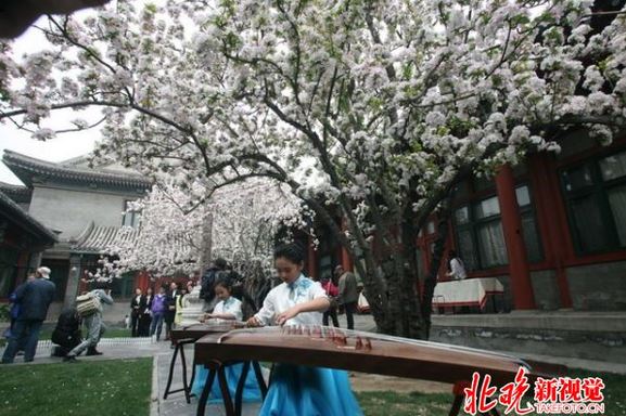 fazhihefang20160400707