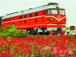 少女花海自拍撞亡 网友：珍爱生命远离“铁轨文艺”（图）