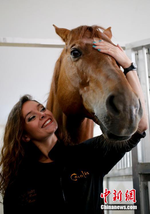 40匹明星宝马抵京 即将带来顶级演出