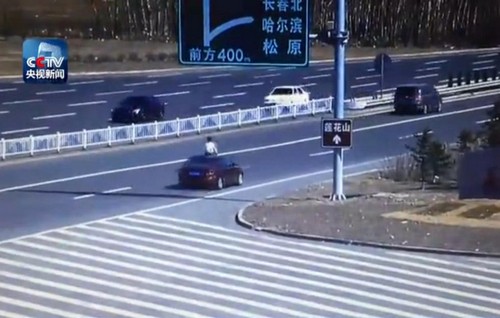 家长带孩子高速上拍照兜风 半个身子
