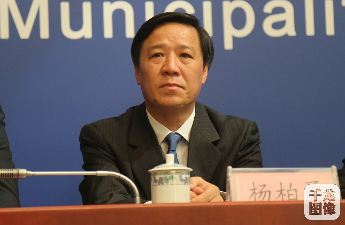 北京市高级人民法院知识产权庭庭长杨柏勇