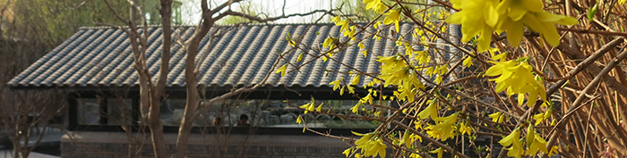 湖边