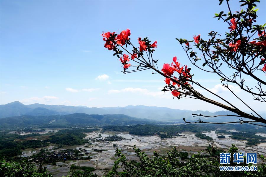 #（春季美丽生态）（3）广西全州：美丽田园画卷