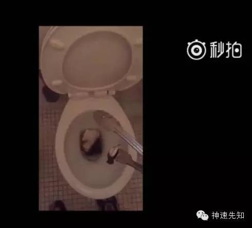 灰烬扔进马桶