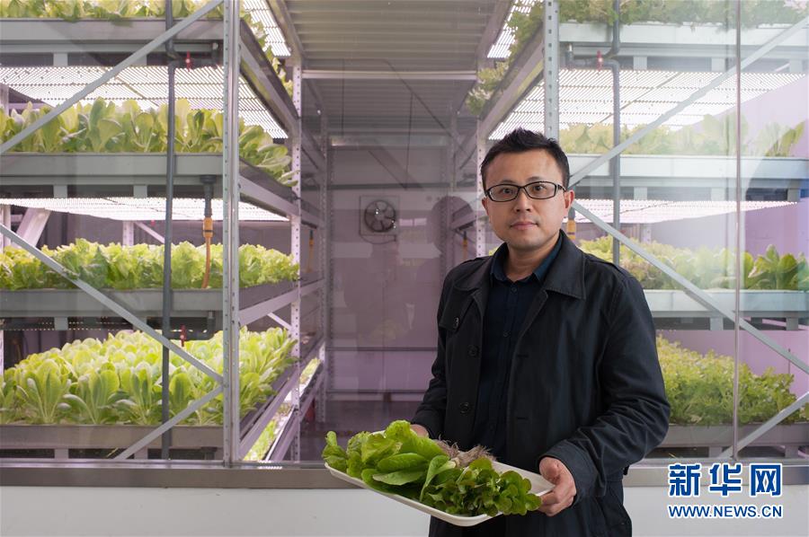 #（图片故事）（1）北京闹市区的“植物工场”