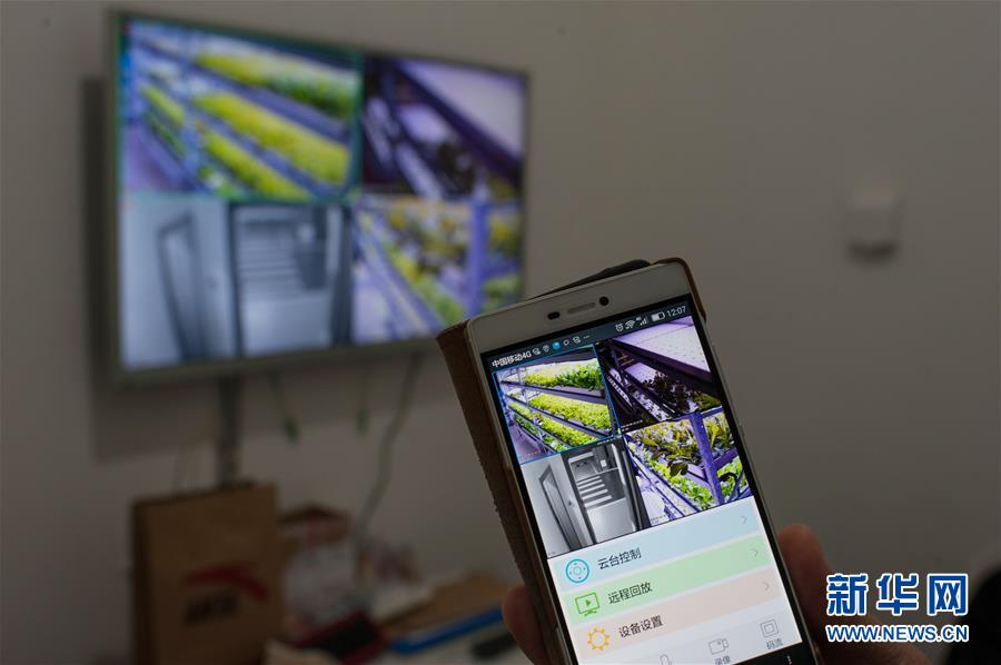 #（图片故事）（4）北京闹市区的“植物工场”