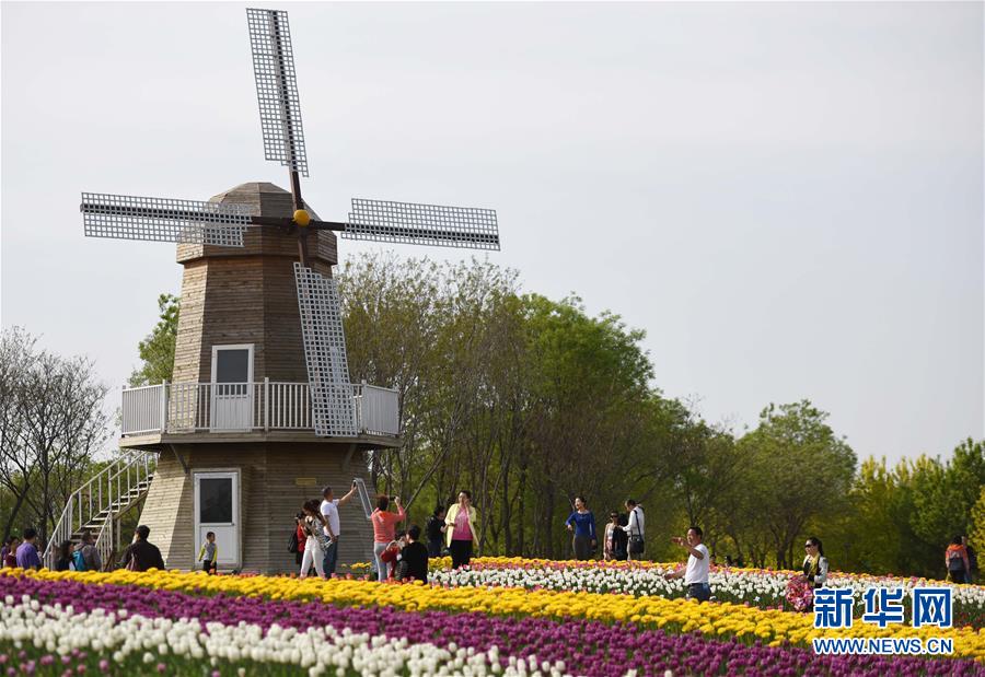 （春季美丽生态）（2）徜徉花海
