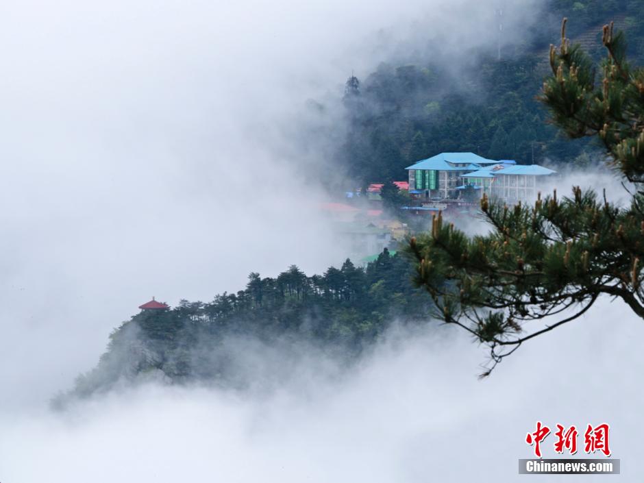 江西庐山现壮观“瀑布云海” 如梦如幻