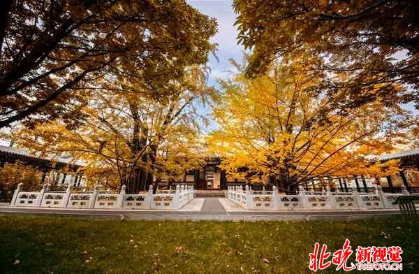 福荫紫竹院行宫正殿(修缮后)