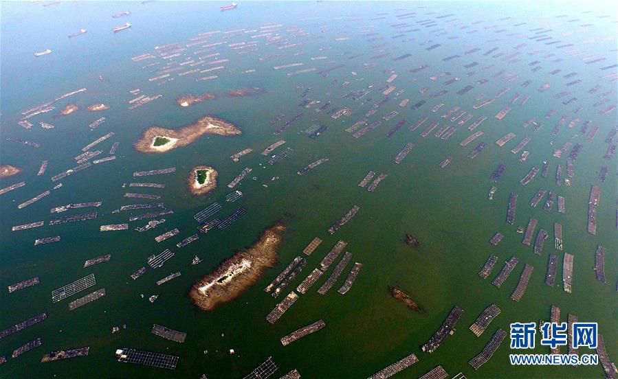 （美丽中国）（7）飞阅广西——红土地上的农业奇观