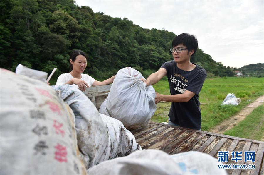 （社会）（4）从城市到农村：“80后”夫妻返乡打造“水稻王国”