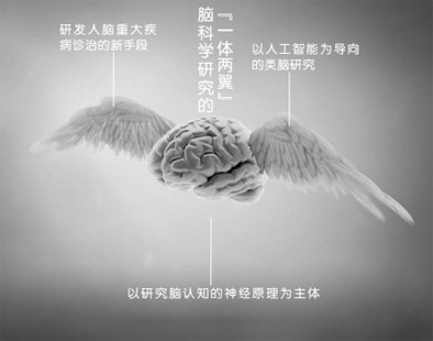 脑科学“大国之争”:揭秘人体最后谜团
