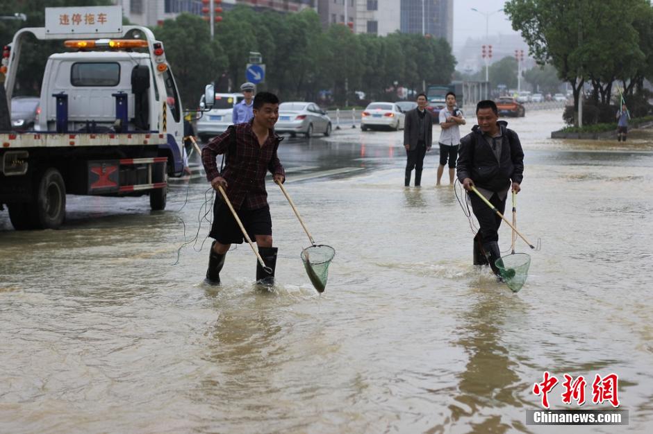 湖南道县大暴雨致内涝严重 民众街道捕鱼