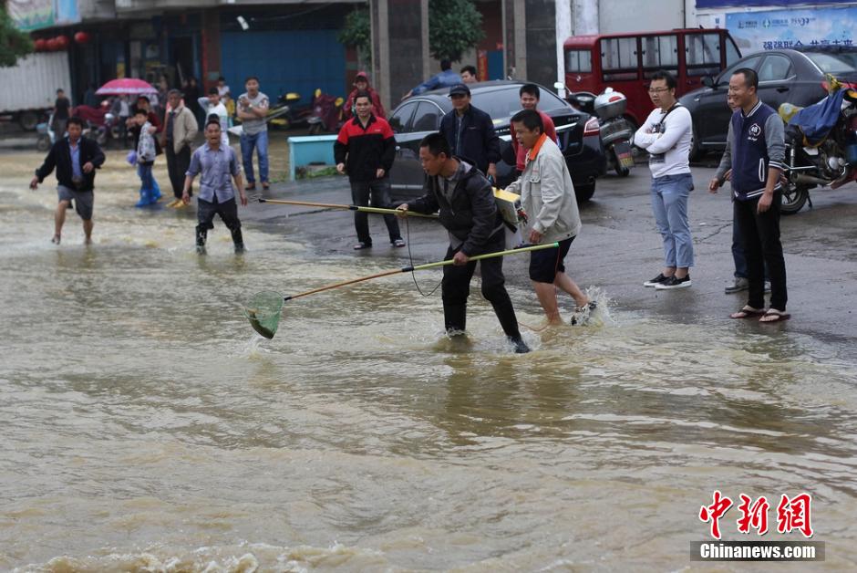 湖南道县大暴雨致内涝严重 民众街道捕鱼