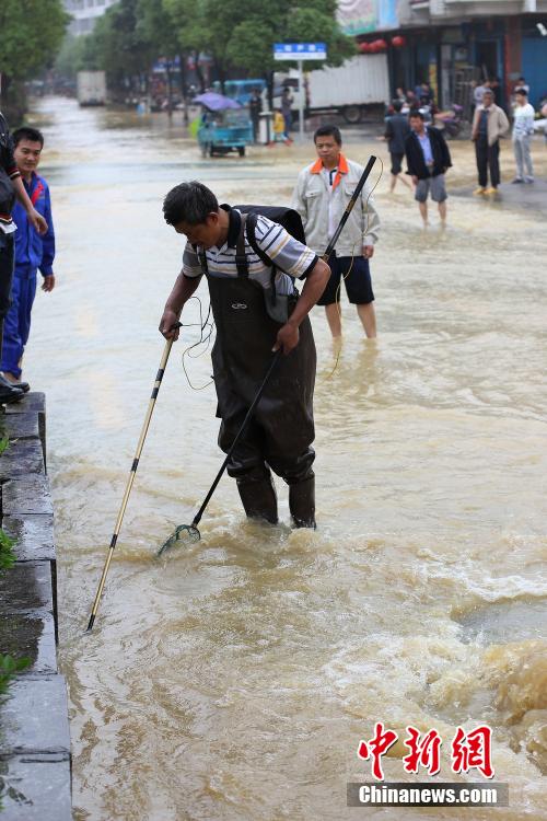 湖南道县大暴雨致内涝严重 民众街道捕鱼