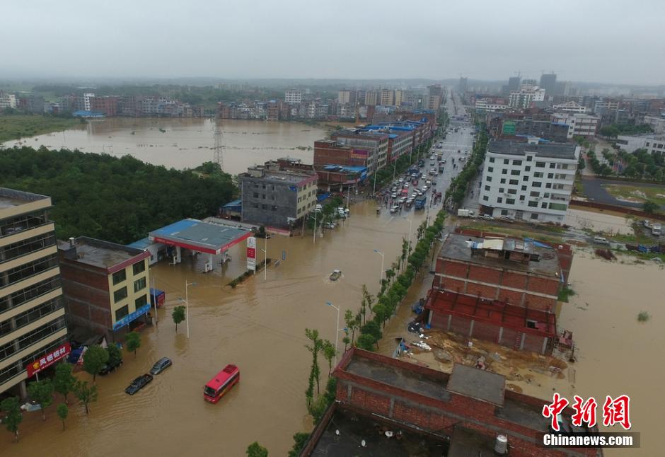 湖南道县大暴雨致内涝严重 民众街道捕鱼
