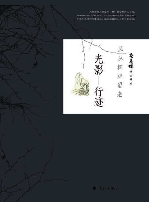 风在树林里走 光影·行迹