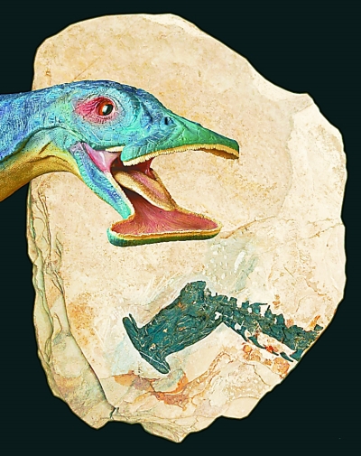 dzw6589_b