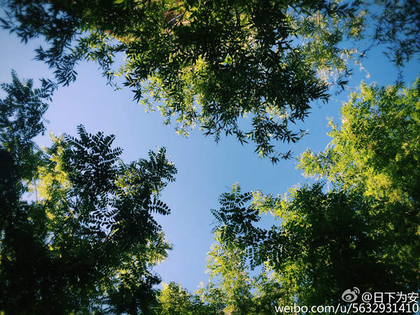 今天后半夜到明天白天北京有降雨 周末外出需防范