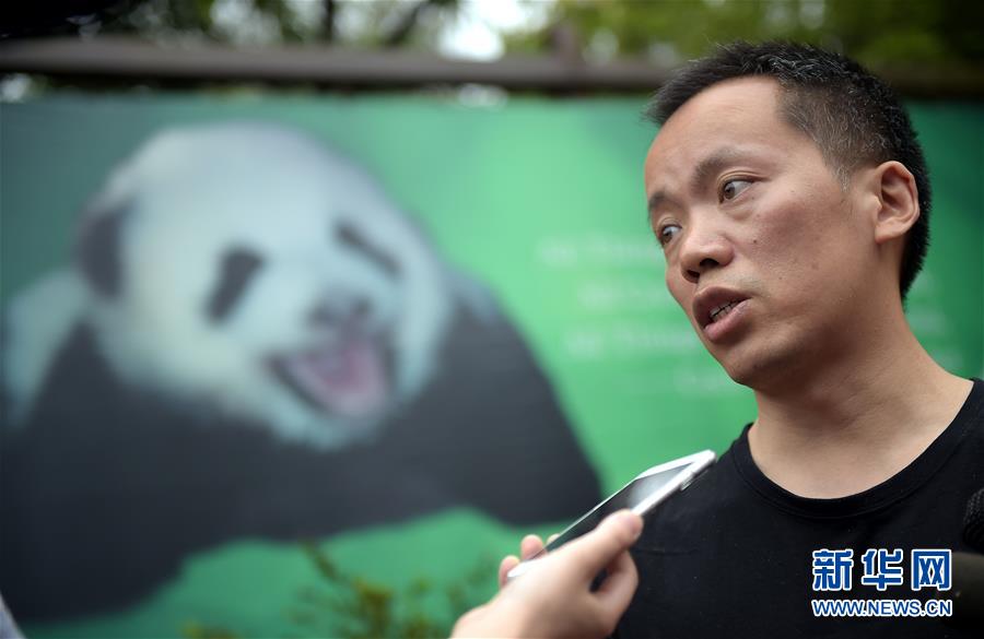 (社会)(2)成都大熊猫“爱浜”幼仔死因不明 疑属罕见病例