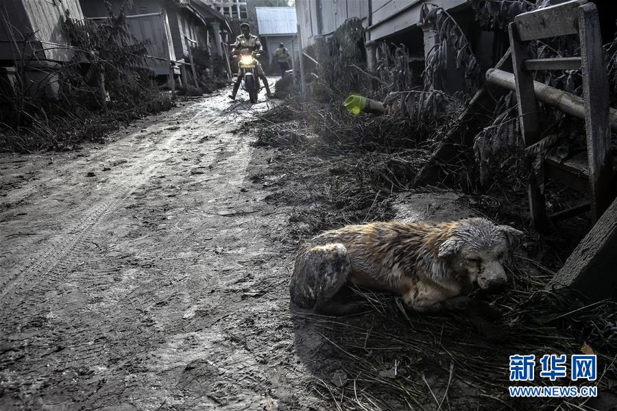 （国际）（4）印尼锡纳朋火山喷发死亡人数上升至6人