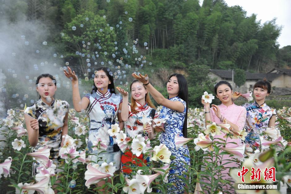 旗袍美女百合花丛中群芳争艳
