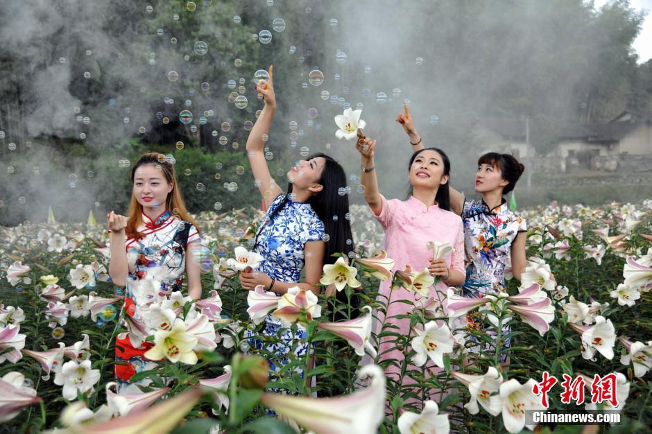 旗袍美女百合花丛中群芳争艳