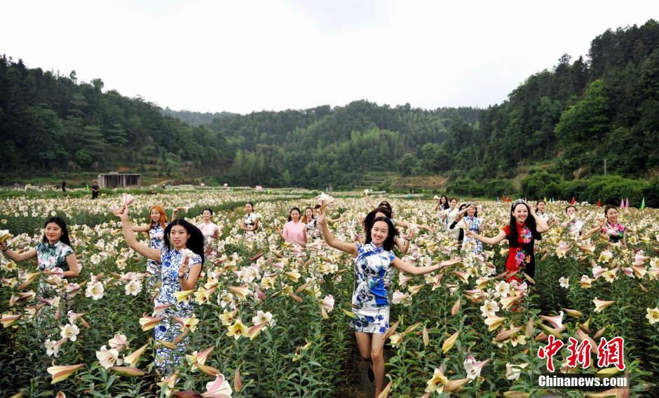 旗袍美女百合花丛中群芳争艳