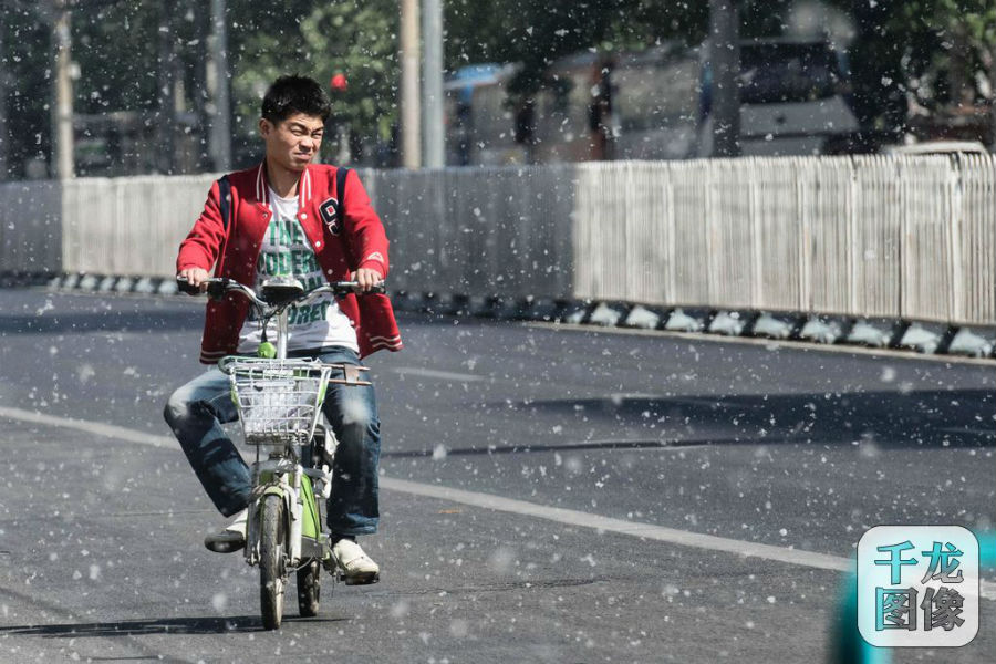 2016年4月9日，北京，街头杨絮纷飞。