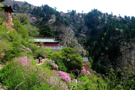 北岳恒山:多举措发力助力家乡申旅-千龙网·