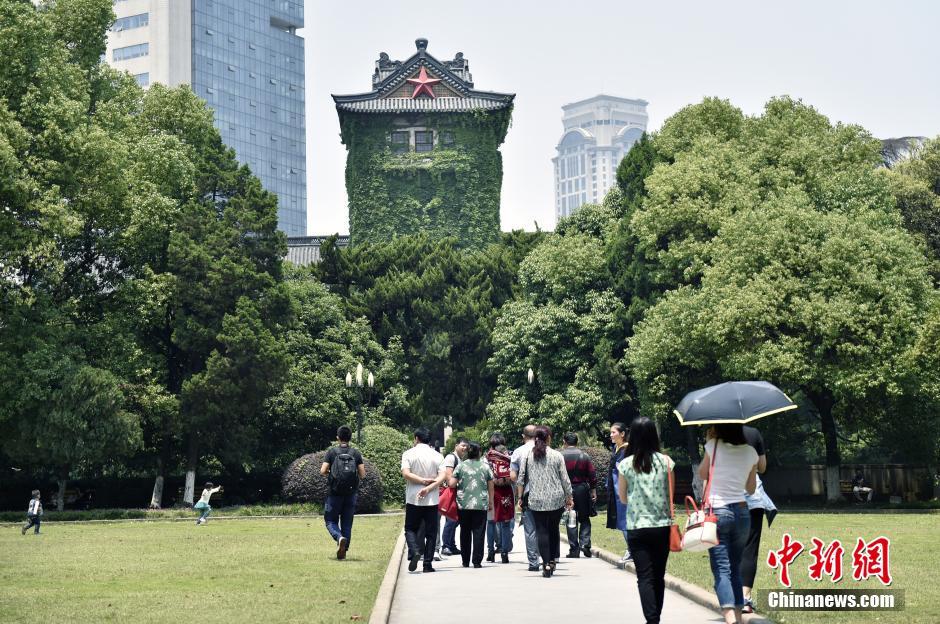 南京大学建筑被爬山虎覆盖 一片生机盎然