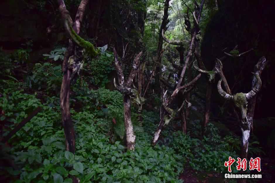 探秘云南西盟佤族圣地“龙摩爷”