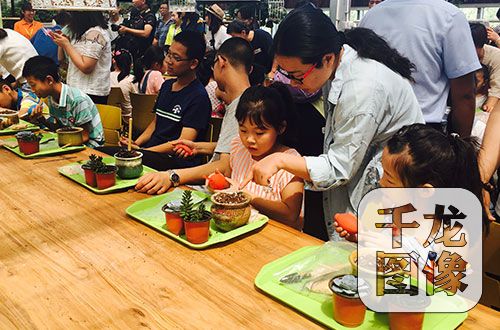 在多肉种植课堂，孩子与家长们一起学习栽种多肉植物